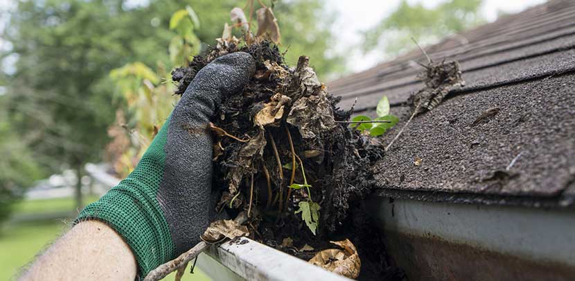 Gutter Cleaning Services